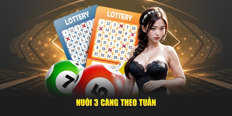 Nuôi 3 càng theo tuần