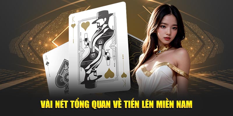 Vài nét giới thiệu tổng quan về Tiến lên miền Nam