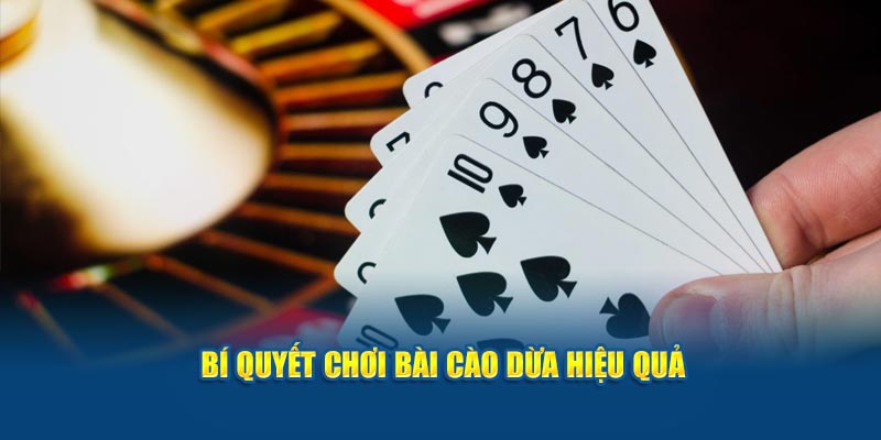 Bí quyết chơi bài cào dừa hiệu quả 