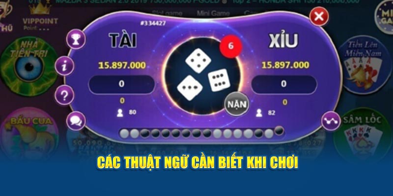 Các thuật ngữ cần biết khi chơi Sicbo online tại KUBET