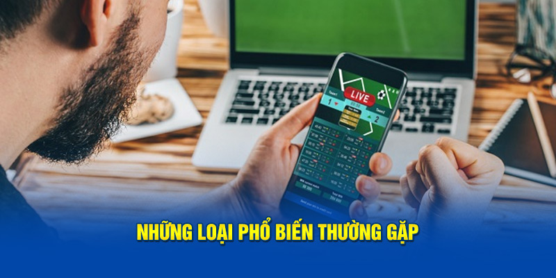 Những loại phổ biến thường gặp  