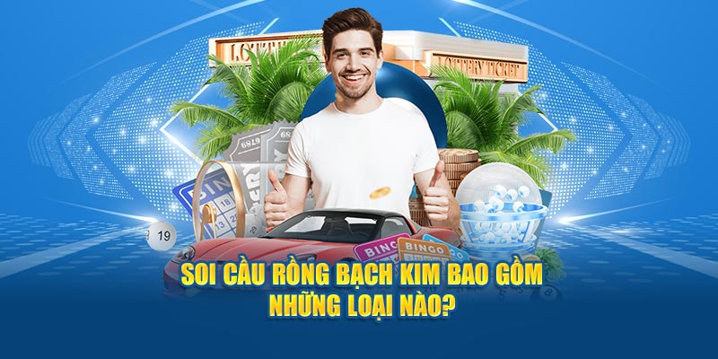 Soi cầu rồng bạch kim bao gồm những loại nào